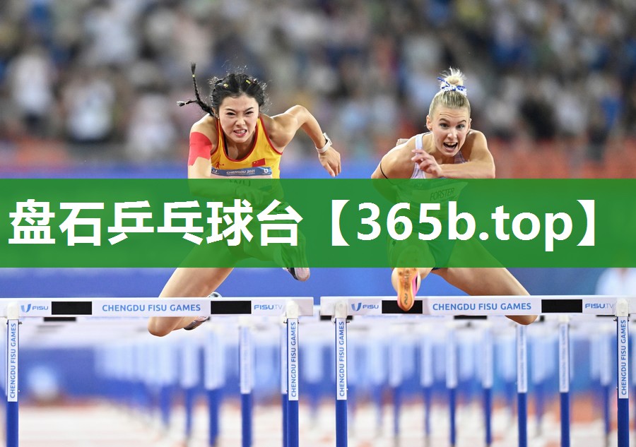 盘石乒乓球台 盘石乒乓球台