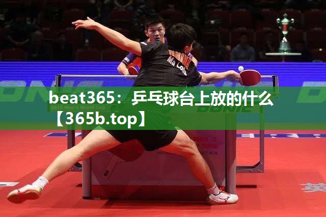 乒乓球台上放的什么 乒乓球台上放的什么