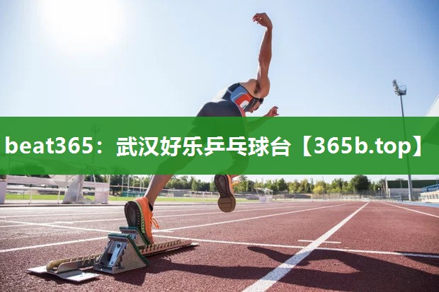 武汉好乐乒乓球台 武汉好乐乒乓球台