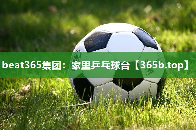 家里乒乓球台 家里乒乓球台