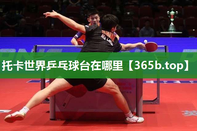 托卡世界乒乓球台在哪里 托卡世界乒乓球台在哪里
