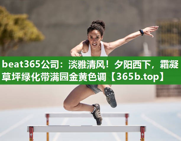 淡雅清风!夕阳西下,霜凝草坪绿化带满园金黄色调 淡雅清风!夕阳西下,霜凝草坪绿化带满园金黄色调