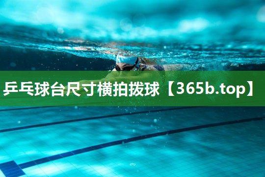 乒乓球台尺寸横拍拨球 乒乓球台尺寸横拍拨球