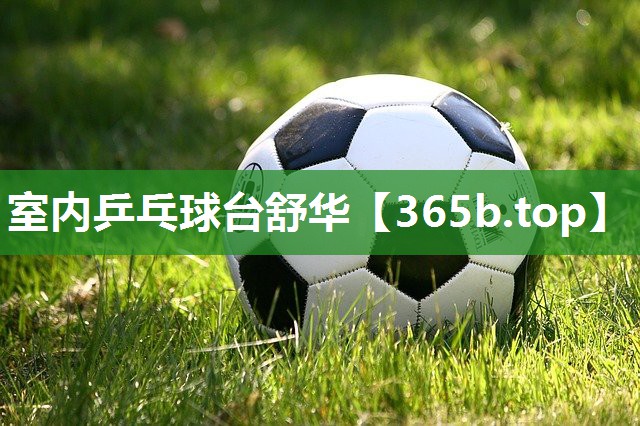 室内乒乓球台舒华 室内乒乓球台舒华